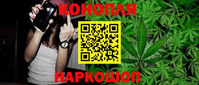 a pvp Гатчина